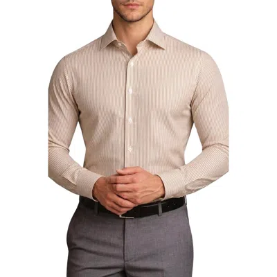 Tahari Vertical Stripe Dress Shirt In Beige