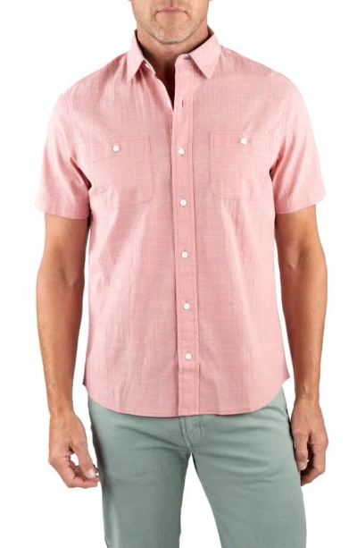 Tailor Vintage Collared Button-down Shirt In Dusty Rose