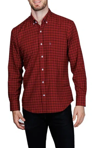 Tailorbyrd Classic Fit Gingham Print Performance Button-down Shirt In Burgundy