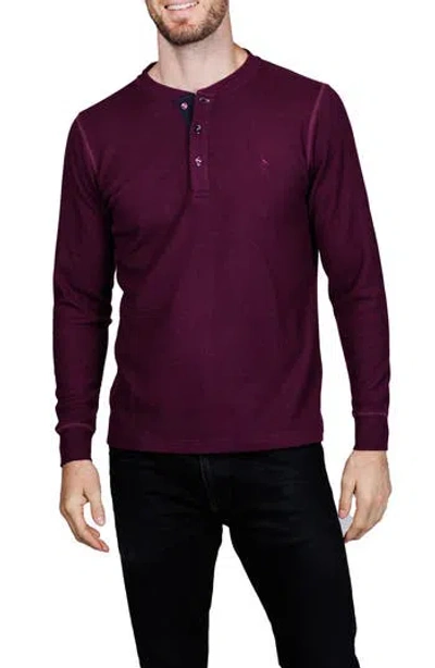 Tailorbyrd Cozy Waffle Knit Long Sleeve Henley In Burgundy