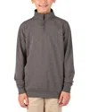 Tailorbyrd Kids' Fleece Quarter-zip Pullover In Gray