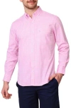 Tailorbyrd Gingham Stretch Cotton Button-up Shirt In Light Pink