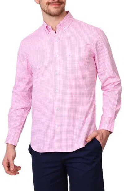 Tailorbyrd Gingham Stretch Cotton Button-up Shirt In Light Pink
