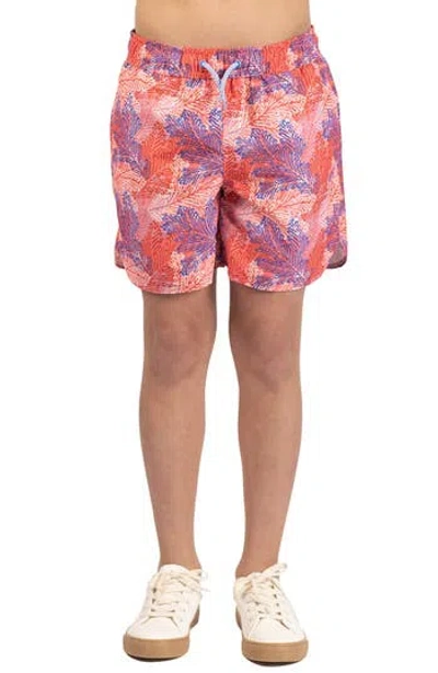 Tailorbyrd Kids' Leaves Print Swim Trunks In Pink