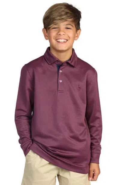 Tailorbyrd Kids' Long Sleeve Polo In Purple