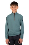 Tailorbyrd Kids' Micro Grid Textured Pullover In Green