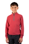 Tailorbyrd Kids' Micro Grid Textured Pullover In Red