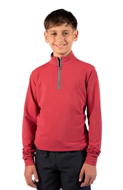 Tailorbyrd Kids' Micro Grid Textured Pullover In Red