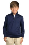 Tailorbyrd Kids' Quarter Zip Pullover In Navy