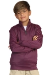 Tailorbyrd Kids' Quarter Zip Pullover In Purple