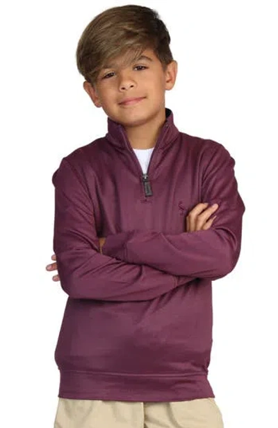 Tailorbyrd Kids' Quarter Zip Pullover In Purple