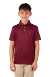 Tailorbyrd Kids' Solid Knit Polo In Brown