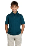 Tailorbyrd Kids' Solid Knit Polo In Green