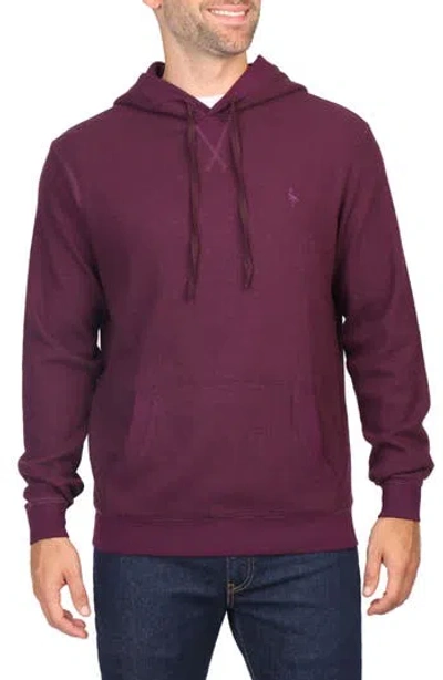 Tailorbyrd Knit Hoodie In Berry Heather