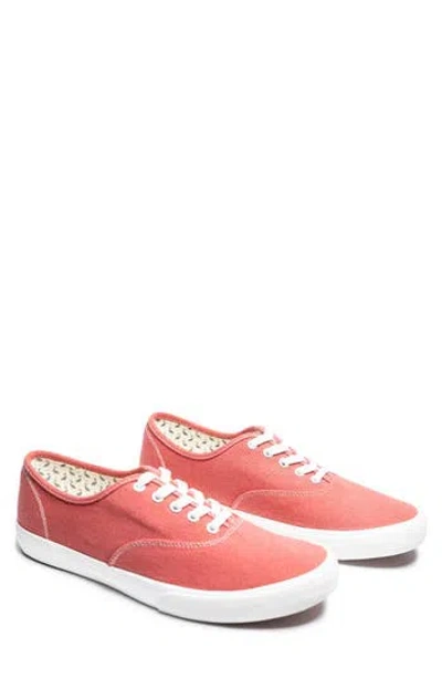 Tailorbyrd Luke Washed Canvas Sneaker In Red