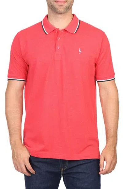 Tailorbyrd Micro Tipped Piqué Polo In Red Heather