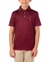 Tailorbyrd Kids' Solid Knit Polo In Burgundy
