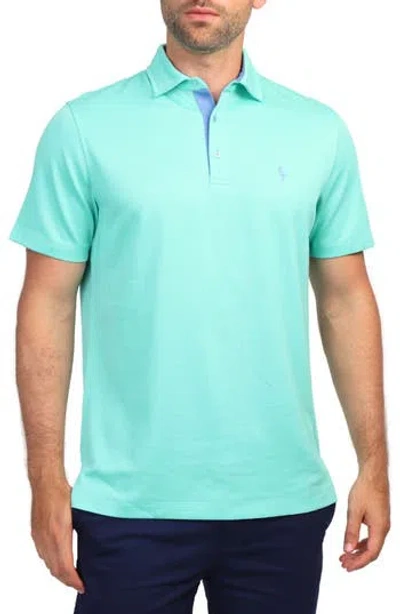 Tailorbyrd Solid Polo In Spearmint