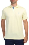 Tailorbyrd Solid Polo In Yellow