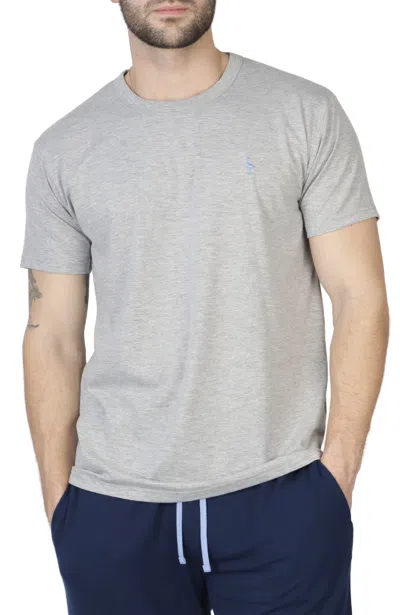 Tailorbyrd The Jersey Crew Neck Tee In Grey