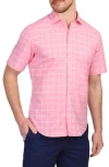 Tailorbyrd Windowpane Stretch Cotton Short Sleeve Button-down Shirt In Sunwashed Red