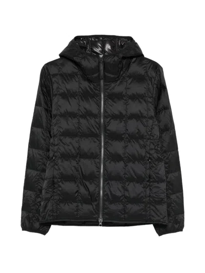 Taion Hooded Quilted Jacket In Blue