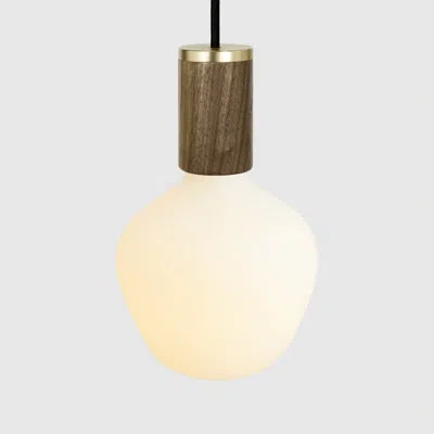 Tala Enno Pendant Light In Walnut