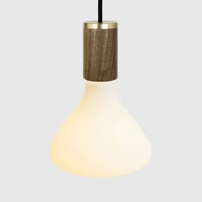 Tala Noma Pendant Light In Walnut