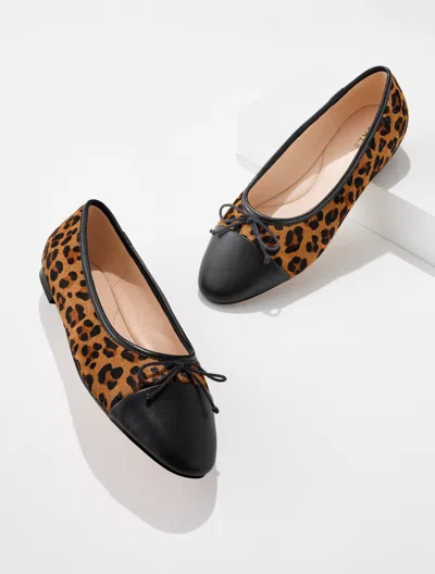 Talbots Ansly Ballet Flats - Calf Hair Tan - 5m  In Brown