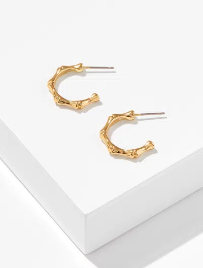 Talbots Bamboo Texture Hoop Earrings - Gold - 001