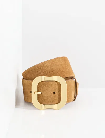 Talbots Carved Buckle Suede Belt - Caramel - Xs