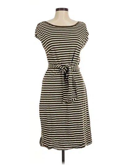 Pre-owned Talbots Casual Dress In Brown