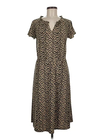 Pre-owned Talbots Casual Dress In Brown