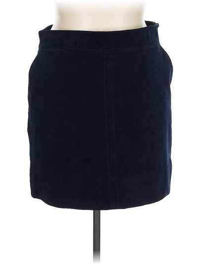 Pre-owned Talbots Casual Skirt In Blue