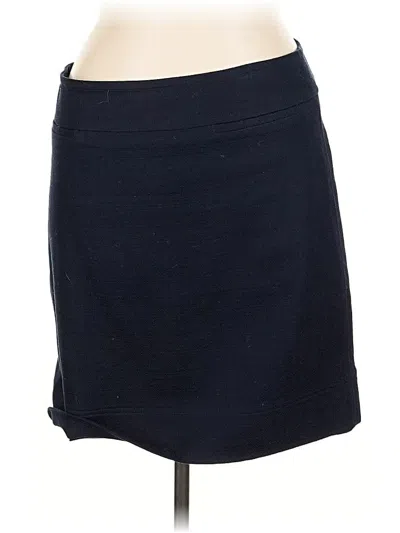 Pre-owned Talbots Casual Skirt In Blue