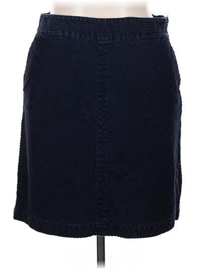 Pre-owned Talbots Casual Skirt In Blue