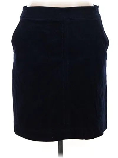 Pre-owned Talbots Casual Skirt In Blue