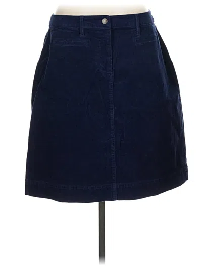 Talbots Casual Skirt In Blue
