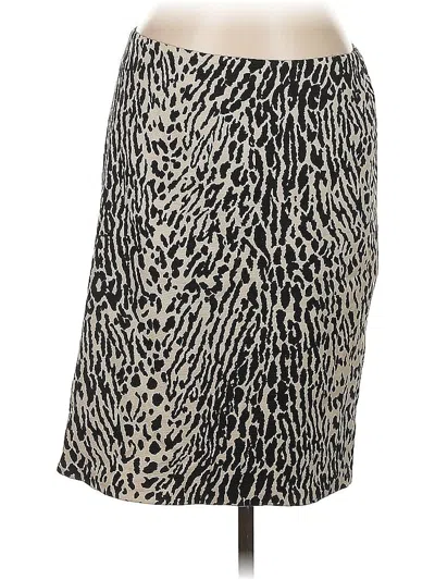 Pre-owned Talbots Casual Skirt In Brown