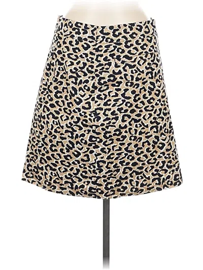 Pre-owned Talbots Casual Skirt In Brown