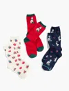 Talbots Christmas Dog Socks 3-pack Gift Set - Very Berry - 001  In Red