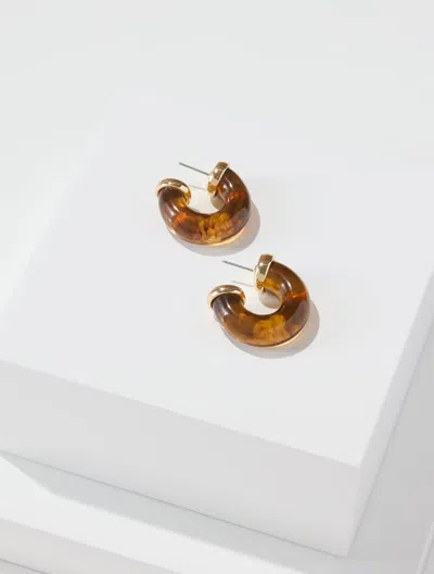 Talbots Chubby Resin Hoop Earrings - Burnt Copper/gold - 001  In Burnt Copper,gold
