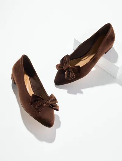 Talbots Edison Velvet Bow Flats - Dark Chocolate - 5m  In Multi