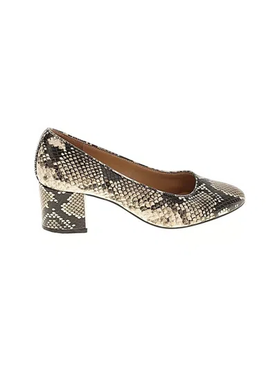 Pre-owned Talbots Heels In Brown