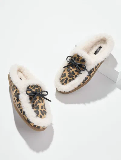 Talbots Marley Suede Shearling Slippers - Brown - 5m  In Multi