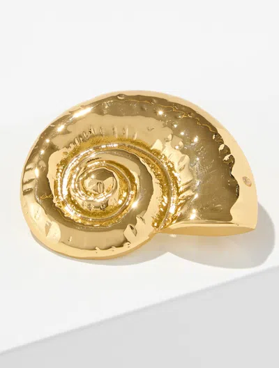 Talbots Nautilus Brooch - Gold - 001