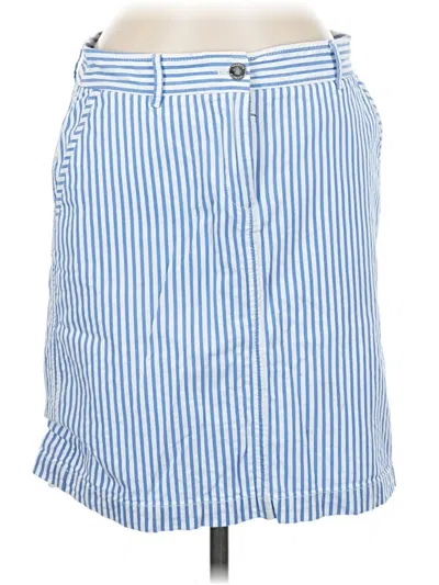 Pre-owned Talbots Outlet Casual Skirt In Blue