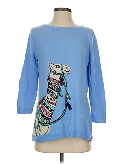 Pre-owned Talbots Outlet Pullover Sweater In Blue
