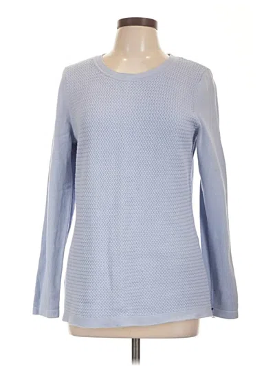 Pre-owned Talbots Outlet Pullover Sweater In Blue