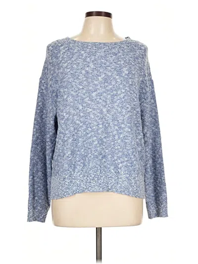 Pre-owned Talbots Outlet Pullover Sweater In Blue